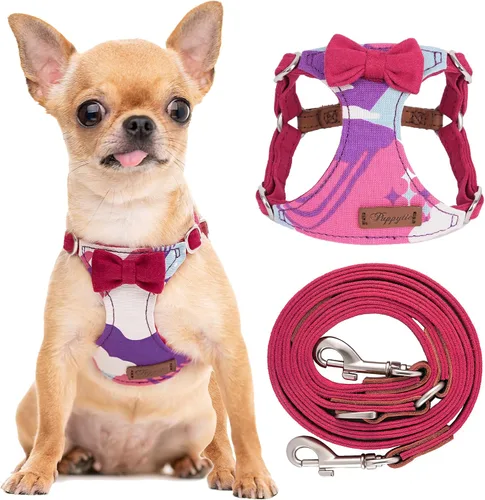 Vista 6 de Arnés sin tirones Puppytie para perro, con correa multifunción, pechera suave y ajustable para mascota, no ahorca, chaleco a prueba de escape, cielo
