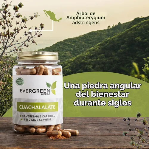 Vista 2 de Evergreen Herbs Cápsulas de cuachalalato – 90 cápsulas vegetales, 1350 mg por porción, suplemento herbario mexicano silvestre para soporte digestivo