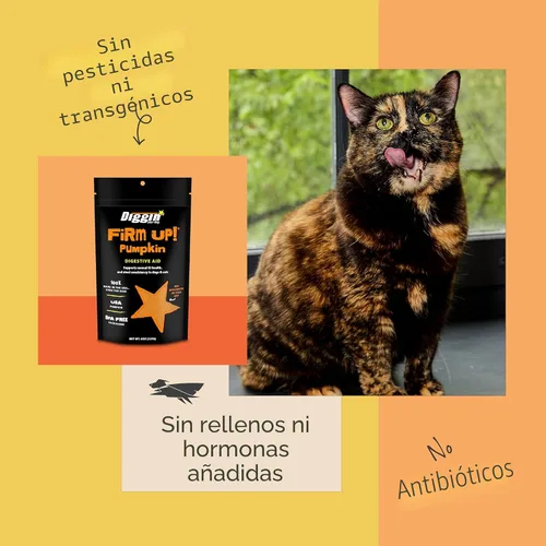 Vista 7 de Diggin’ Your Dog, Suplemento original de calabaza Firm Up para perros y gatos, 1 onza