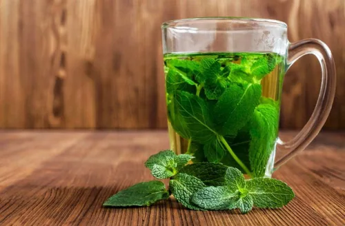 Vista 2 de Semillas de menta para plantar en exteriores e interiores, más de 500 semillas sin OMG para jardín de hierbas