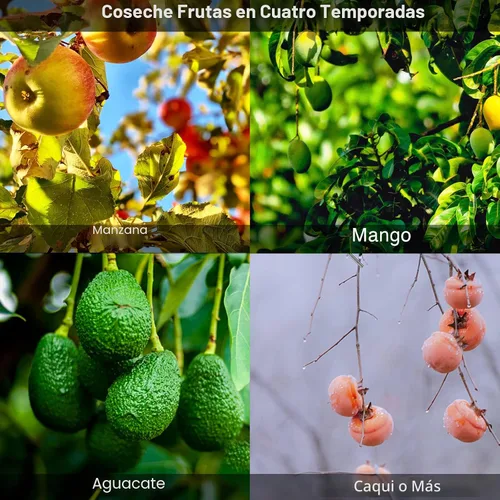 Vista 3 de DonSail Herramienta de caña para recoger frutas con cesta de mango largo, 35-65 pulgadas ajustable de manzana naranja con cesta para recogedor
