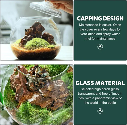 Vista 5 de Angoily Terrario de vidrio, tarros grandes transparentes con tapa, florero de terrario para plantas