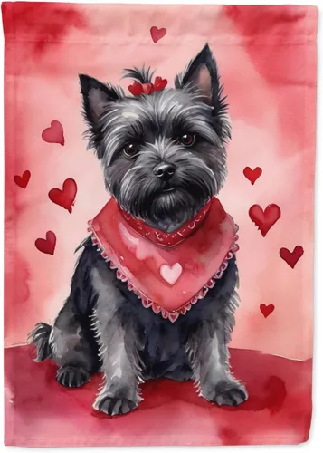 Vista 73 de Caroline's Treasures DAC5252GF Affenpinscher - Bandera de jardín con texto en inglés "My Valentine", bandera decorativa para patio exterior, patio