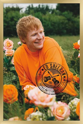 Vista 14 de Trends International Ed Sheeran - Póster de pared de campo de rosas, 22.37 x 34.00 pulgadas, versión enmarcada de madera de granero