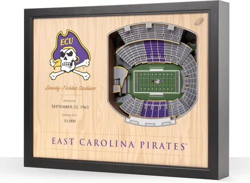 Vista 13 de YouTheFan NCAA Arte de Pared StadiumView de 25 Capas