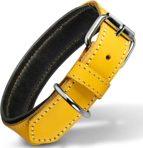 Vista 18 de Filbert Collar de cuero para perro, collar de cuero genuino para perros pequeños, acolchado de lujo, fuerte, ajustable para todas las razas, hebilla