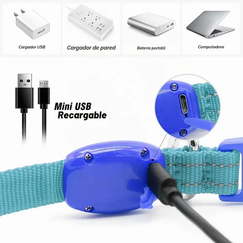 Vista 4 de Visinite Collares de perro iluminados para perros pequeños, collar de perro LED recargable con luz, collar de perro iluminado totalmente ajustable