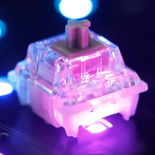 Vista 6 de para Gateron Baby Racoon Switch Alargar eje lineal 5 Pin Pre-lubed Interruptores 1.94 oz POM Material Interruptores para teclado mecánico
