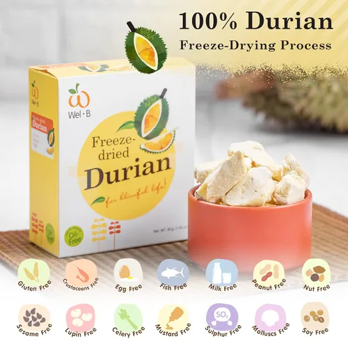 Vista 6 de Wel-B Bocadillos de frutas liofilizadas, Durian fresco liofilizado a una textura crujiente mientras conserva el sabor natural y la nutrición