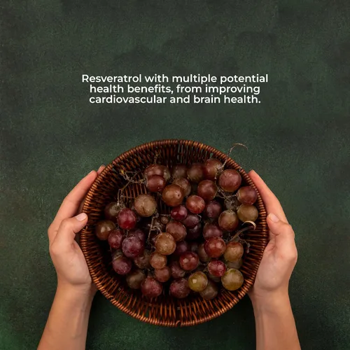 Vista 5 de Vidanat Resveratrol 300 mg – Suplemento antioxidante para la salud del corazón, antienvejecimiento y apoyo inmunológico – 30 cápsulas (paquete de 1)