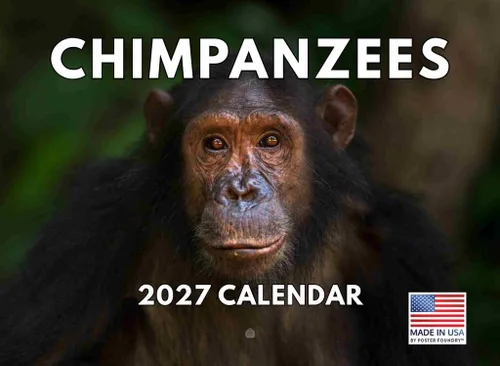 Vista 12 de Calendario mensual de pared de alpaca 2025 Fabricado en Estados Unidos