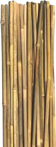 Vista 2 de Postes de bambú natural, estacas de jardín ecológicas de soporte para plantas, 16 pulgadas de largo (20 unidades)