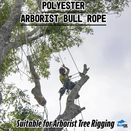 Vista 3 de Blue Ox Rope Cuerda de toro Arborist de 3/4 pulgadas por 150 pies, 12 portadores de 24 hebras, blanco/azul, fabricada en los Estados Unidos