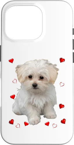 Vista 19 de Funda para iPhone 11 Maltipoo Mix Fans para amantes de los perros maltés