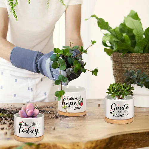 Vista 5 de 6 piezas de juego de regalos con versículos de la Biblia cristiana, gracioso juego de macetas para plantas suculentas con bandeja de bambú, maceta