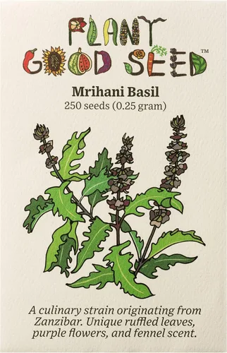 Vista 9 de Plant Good Seed Semillas de albahaca de hojas grandes italianas orgánicas para plantar: hierba culinaria, hojas verdes - Paquete de 200 semillas