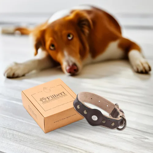 Vista 7 de Filbert Collar de cuero para perro con soporte para Airtag, collar de perro seguro mejorado, collar de cuero para perros medianos, collar de perro