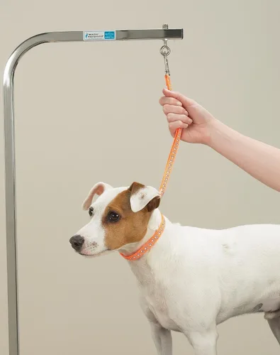 Vista 5 de Top Performance Lazos básicos de aseo - Bucles de nailon versátiles para asegurar a los perros en las mesas mientras se acicalan, 18 pulgadas