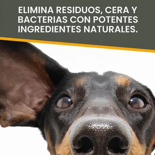 Vista 5 de Silver Honey Rapid Ear Care Vet Strength - Toallitas para mascotas, 50