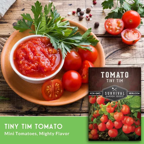 Vista 3 de Tiny Tim Semillas de tomate – Tomates cherry enanos para plantar en interiores o patio, variedad de reliquia compacta para contenedores, alto