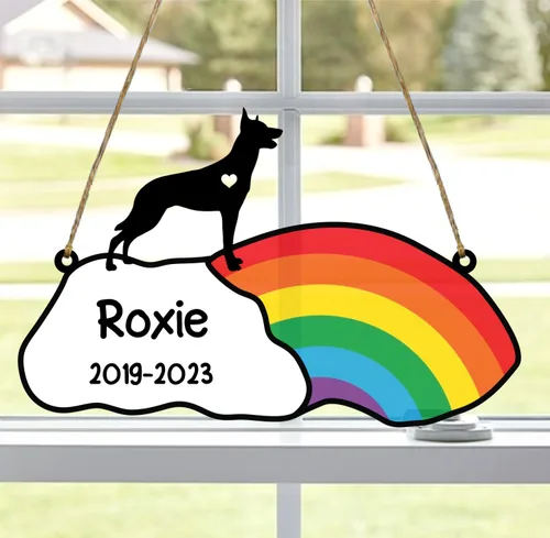 Vista 85 de LOVELYPOD Rainbow Bridge - Regalos conmemorativos para mascotas, regalos conmemorativos para perros afganos por pérdida de sabueso afgano, regalo
