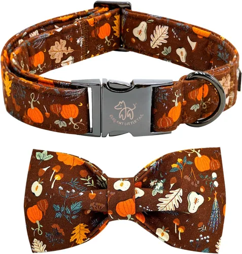 Vista 12 de Elegant little tail - Collar de otoño para mascotas con corbatín, lindo collar de Halloween con estampado de flores y calabaza para cachorros