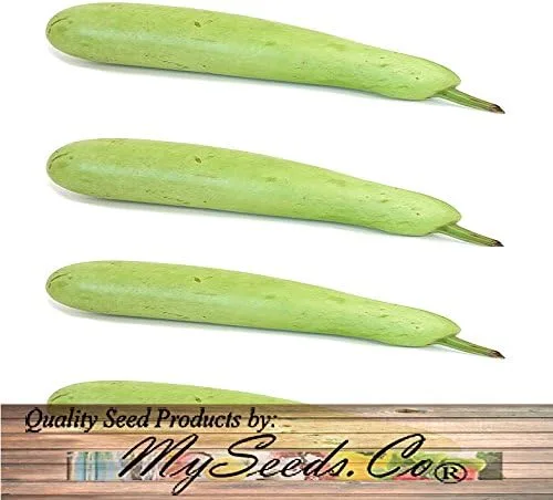 Vista 9 de Paquete grande - Semillas sin transgénicos de MySeeds.Co