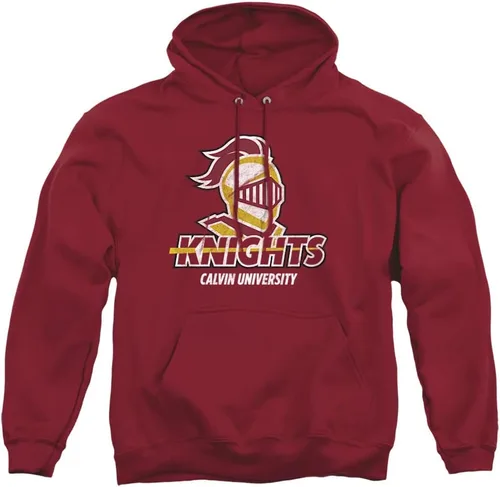 Vista 27 de Distressed College Primary Logo Adult Pullover Hoodie Collection 1 Universidad Estatal de Albany