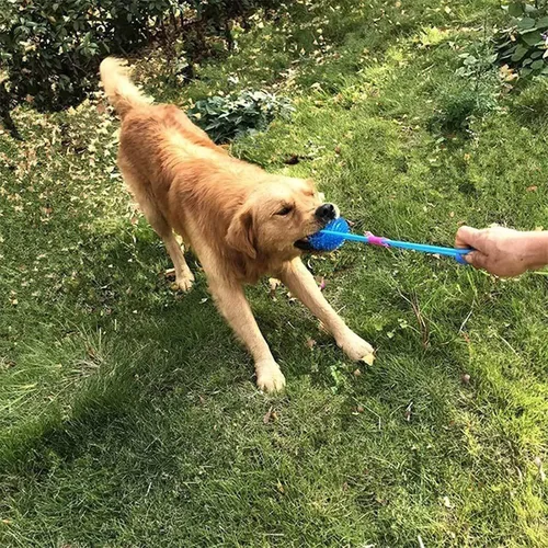 Vista 5 de Orgrimmar Pelotas para masticar chirriantes para perros de 2.55 pulgadas, juguetes de limpieza suave para mascotas, 3