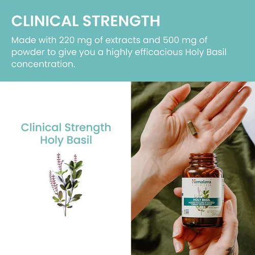 Vista 6 de Himalaya Holy Basil - Soporte suprarrenal herbal para alivio del estrés, relajación, apoyo energético e insomnio ocasional - Vegano, sin OGM, sin