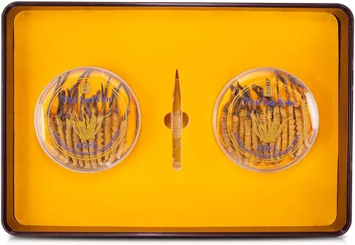 Vista 2 de Hongo Cordyceps Sinensis entero salvaje de Nagqu, Tíbet Grande 0.28 oz / .28 oz