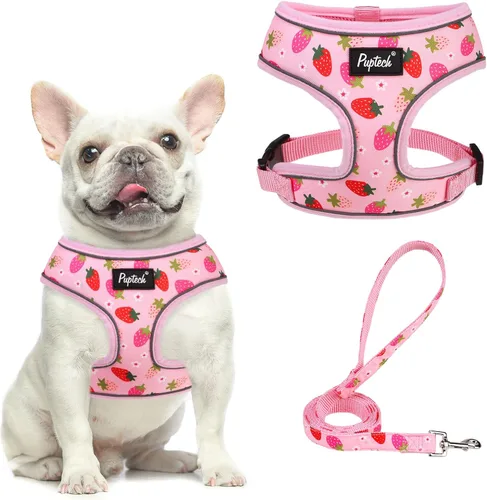 Vista 104 de PUPTECK Juego de arnés y correa de malla suave para perro, cachorro y gato, cómodo chaleco acolchado sin tirones, azul Pascua, S