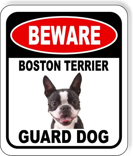 Vista 31 de BEWARE BASSETT HOUND GUARD DOG - Letrero compuesto de aluminio para exteriores, 8.5 x 10 pulgadas CUIDADO BASSETT HOUND GUARD PERRO