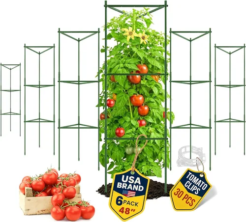 Vista 13 de Jaula de tomate – Estacas grandes de enrejado y estructuras de soporte para plantas para verduras y plantas trepadoras – Jaulas altas para tomate