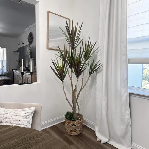 Vista 4 de Dracaena marginata - Planta artificial de 5.2 pies, árbol de dragón