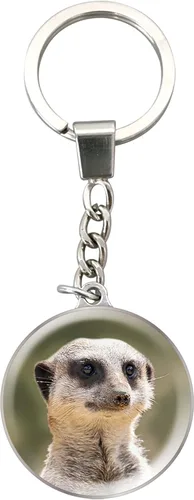 Vista 4 de Deluxebase Magnidome Llavero de domo en forma de cúpula con cadena de acero inoxidable. Llavero de cúpula de cristal Alpaca