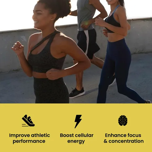 Vista 7 de UpNourish Monohidrato de creatina micronizada en polvo 14.11 oz – Vegano sin sabor para antes del entrenamiento, desarrollo muscular, suplemento