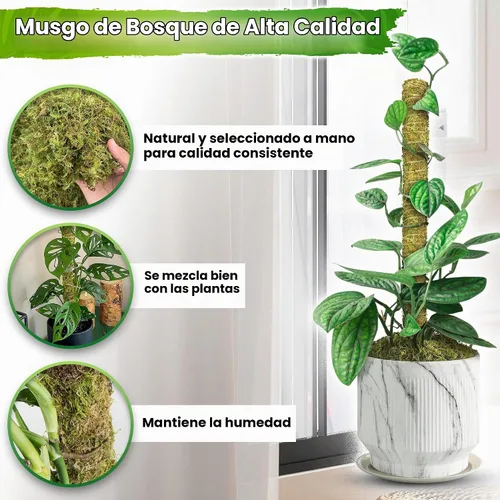 Vista 5 de DUSPRO Poste de musgo de malla apilable para plantas trepadoras, soporte de enredadera Monstera, para plantas de interior, palo extensible para 2
