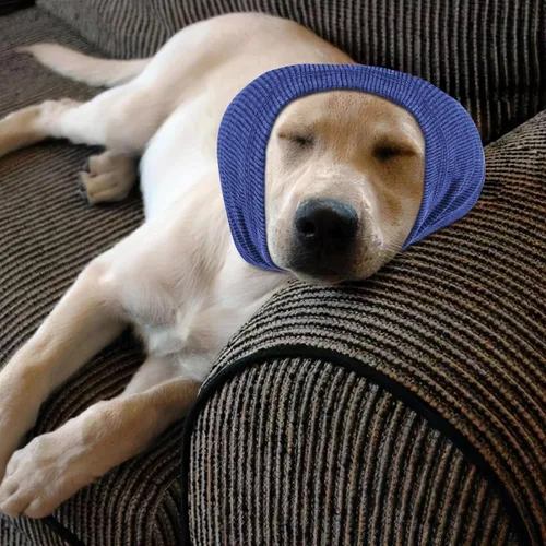Vista 7 de Rbenxia Orejeras para Perros - Protección contra Ruido Cubiertas de Orejas con Capucha para Perros (Azul, Pequeño)