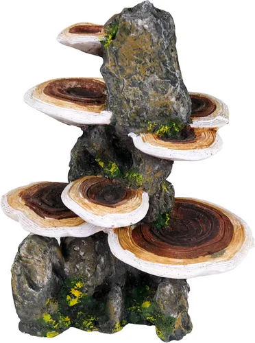 Vista 2 de Penn-Plax Deco-Réplicas - Tronco de árbol con estante para decoración de acuario de hongos, seguro para peceras de agua dulce y salada