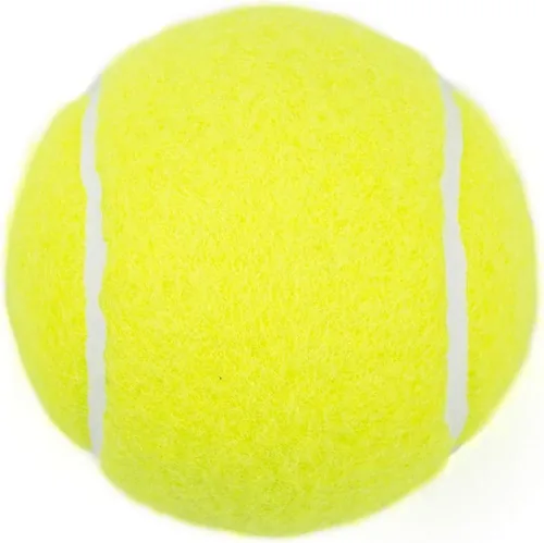 Vista 4 de Tebery 20 Pack Green Advanced Training Tennis Balls Beginner Practice Ball, Pet Dog Playing Balls, Come with Mesh Bag for Easy Transport