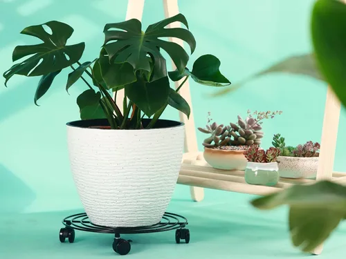 Vista 5 de 6 paquetes de 12 pulgadas de metal grande para plantas con ruedas, soportes rodantes para plantas de hierro forjado, base de rodillos para plantas