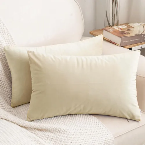 Vista 41 de HWY 50 fundas de almohada decorativas de terciopelo sólido para sofá, sala de estar., Terciopelo, gris, 20x20 pulgadas