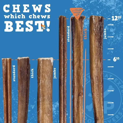 Vista 3 de Jack&Pup Bully Sticks de 12 pulgadas para perros (paquete de 10) masticables extra gruesos para perros de larga duración, sin olor, de un solo