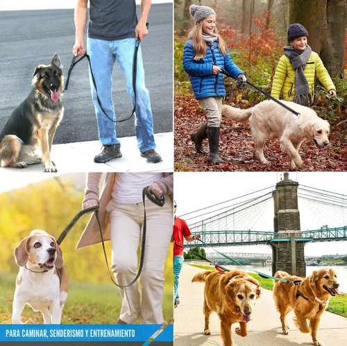 Vista 5 de Correa resistente para perro, 2 asas con asa de tráfico acolchada para control adicional, 6 pies de largo, perfecta para perros medianos a grandes