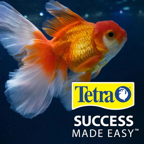 Vista 14 de Tetra Goldfish Flakes, dieta nutricionalmente equilibrada para peces de acuario, copos enriquecidos con vitamina C, 0.42 onzas