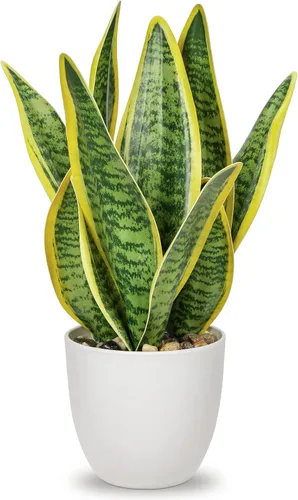 Vista 17 de Hollyone Planta de serpiente falsa de 12 pulgadas, pequeña planta de serpiente artificial en maceta con maceta de cerámica, planta Sansevieria
