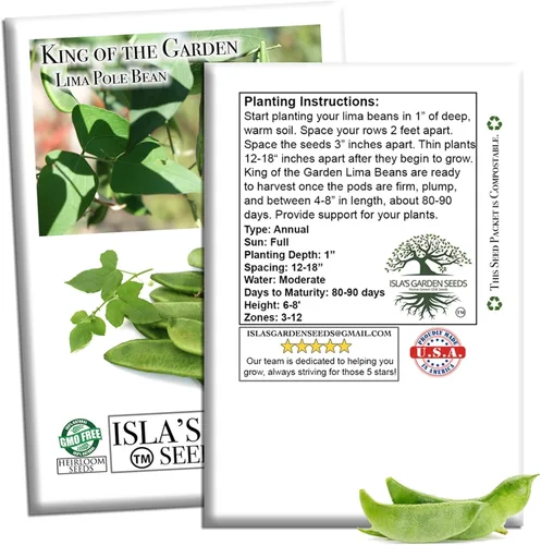 Vista 7 de King of The Garden - Semillas de frijol Lima (Pole Lima, Phaseolus lunatus) – Más de 25 semillas de reliquia no transgénicas de Isla's Garden Seeds