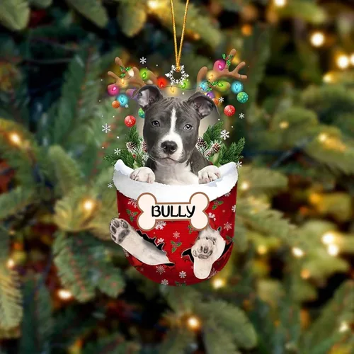 Vista 149 de IZI POD Affenpinscher Adorno de Navidad personalizado para perro, adorno de bolsillo de nieve para perro para árbol de Navidad, adorno acrílico