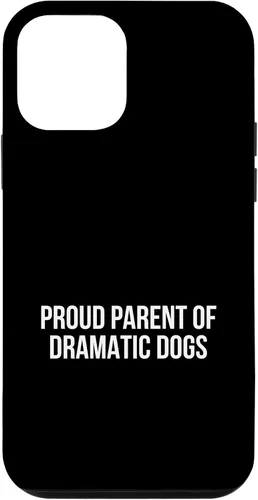 Vista 16 de Case for iPhone XR